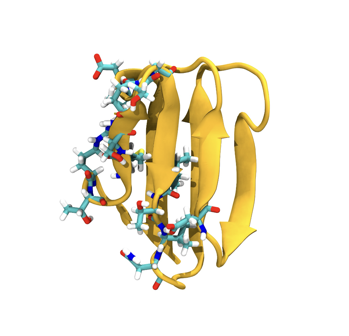 Protein structure visualization